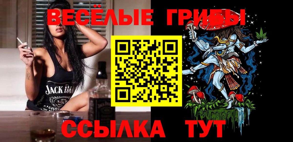 Галлюциногенные грибы мицелий  Вход с VPN  Полысаево  наркошоп  Галлюциногенные грибы GOLDEN TEACHER 